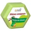 Apiland mézes