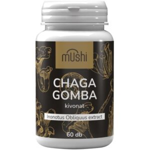 Mushi Chaga gomba kivonat kapszula 60db