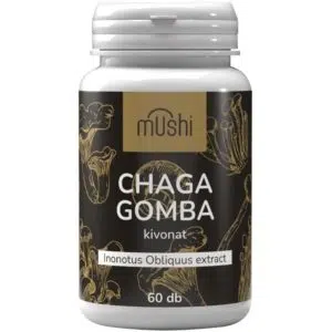 Mushi Chaga gomba kivonat kapszula 60db