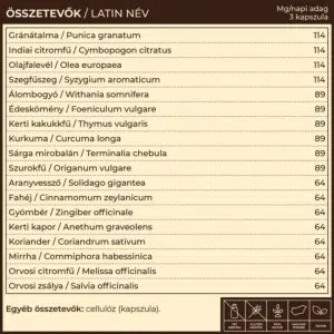 Myrobalan Detox csomag - 30 napos béltisztító program - Image 2
