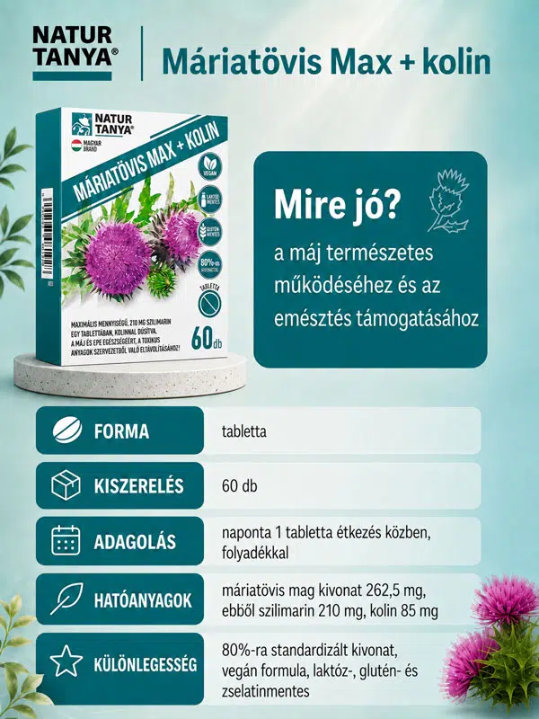 Natur Tanya Máriatövis Max + Kolin tabletta - tudnivalók