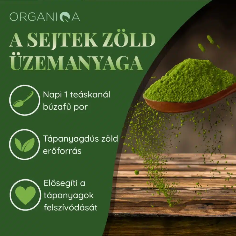 Organiqa Bio Búzafű por - 125g - Image 2