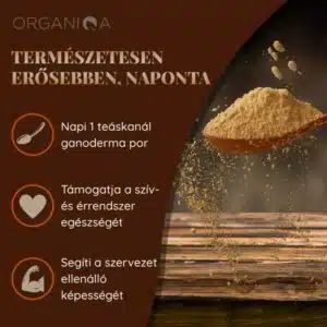 Organiqa Bio Reishi-Ganoderma por - 125g - Image 2