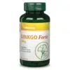 Vitaking Ginkgo Biloba Forte 120mg 60db