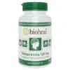 Bioheal ginkgo biloba 120mg + szagtalan fokhagyma kivonattal kapszula 70db