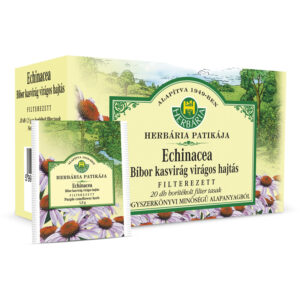 Herbária Echinacea bíbor kasvirág virágos hajtás tea filteres 20x