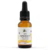 Natessence Bio Csipkebogyó CO2 kivonat 10ml