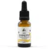 Natessence Bio Homoktövis CO2 kivonat 10ml