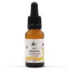 Natessence Bio Zöld tea CO2 kivonat 10ml