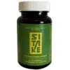 SITAKE - Shiitake gomba kivonat B6