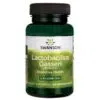 Swanson Lactobacillus Gasseri Probiotic kapszula 60db