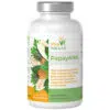 Viva Natura PapayANA kapszula 90db