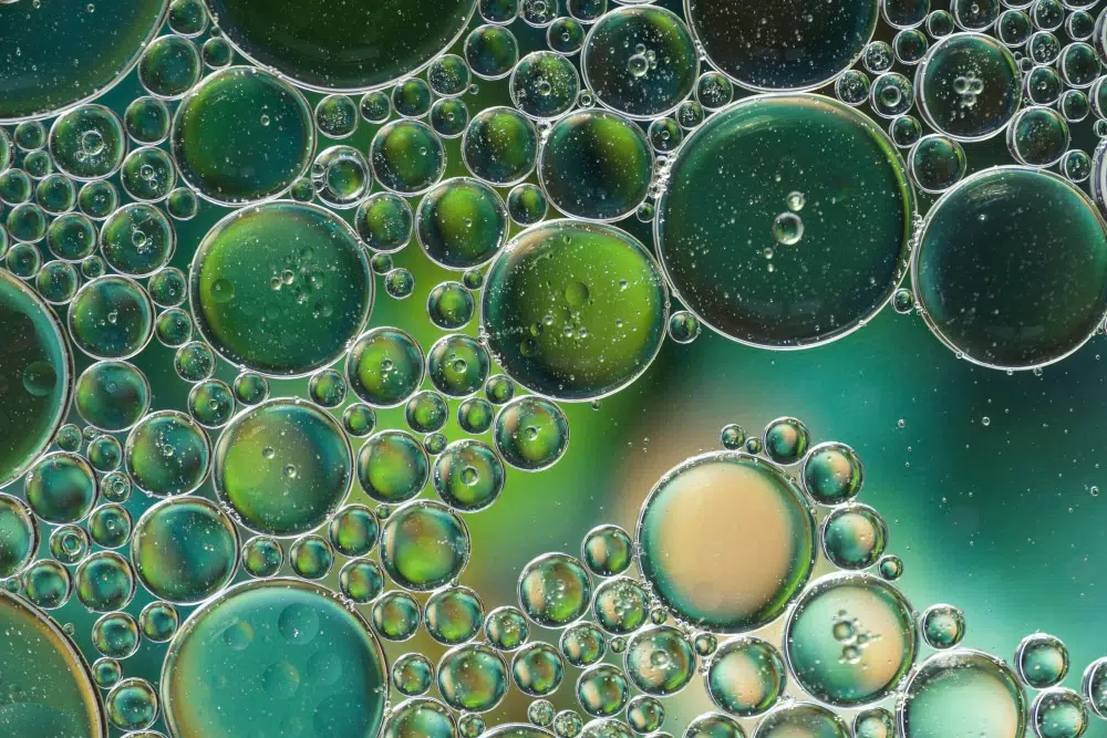 Algacsoda a tányérodban: A chlorella titkai és sokoldalú egészségügyi előnyei