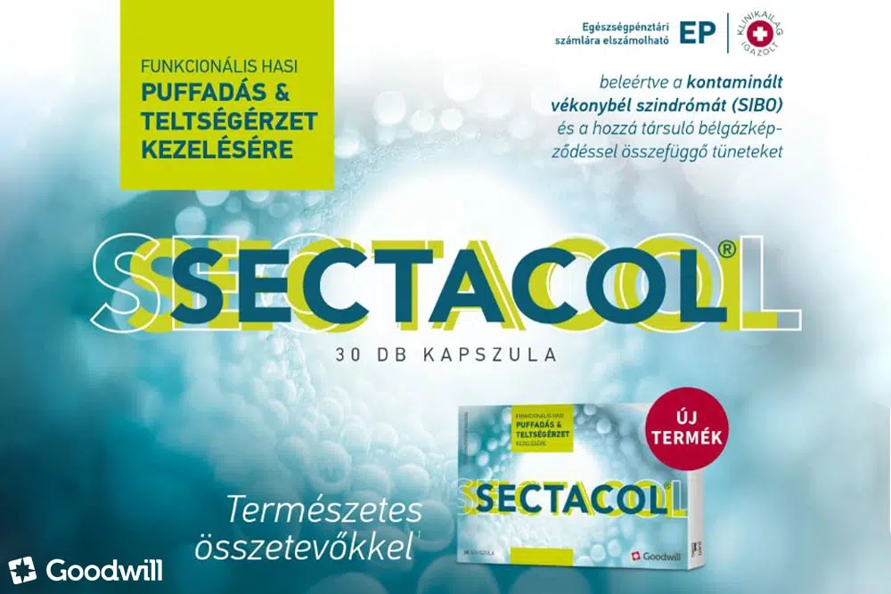 Emésztési komfort újratöltve: Természetes megoldás a kellemetlen teltségérzetre