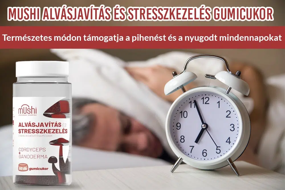 Belső harmónia természetes úton Gyógygombák és növényi nyugtatók kombinációi
