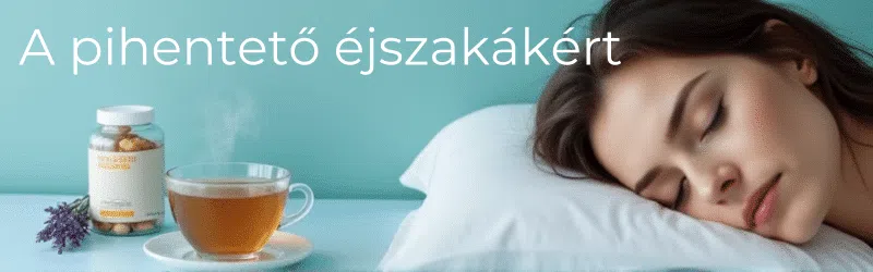 álmatlanság, alvászavar