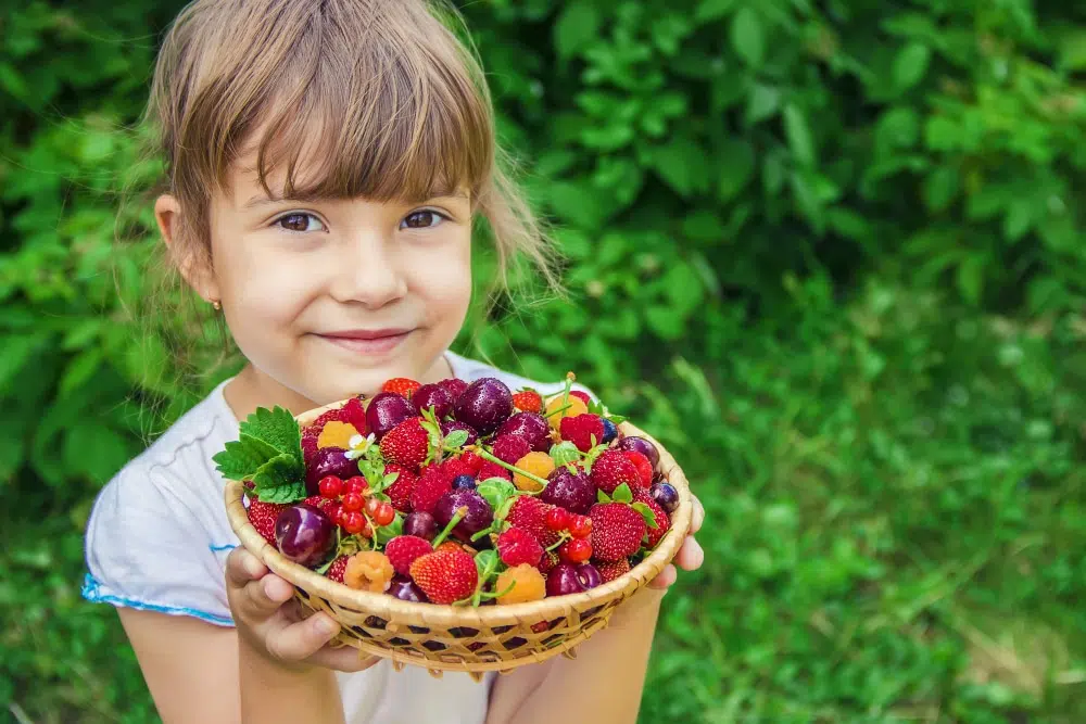Szabadgyökök elleni védelem – Így dolgoznak érted az antioxidánsok