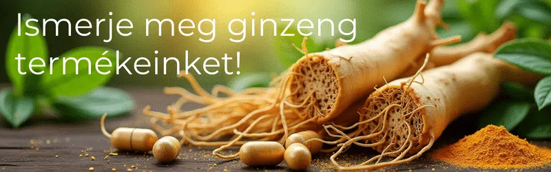 Kattints ide és válassz ginzeng termékeink közül! Kattints ide és válassz ginzeng termékeink közül!