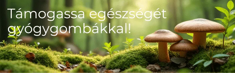 Stresszoldás természetesen gyógygombák segítségével