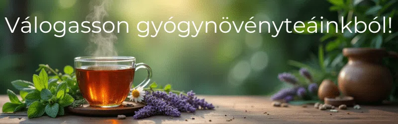 Fedezd fel a természetes vízhajtók világát gyógynövényteák fogyasztásával! Fedezd fel a természetes vízhajtók világát gyógynövényteák fogyasztásával!