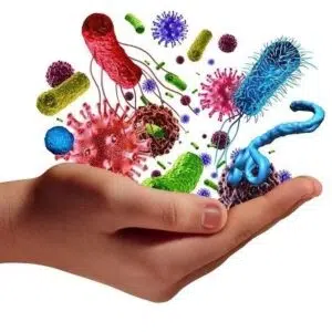Immunerősítés