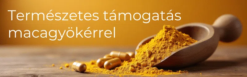 Ismerd meg, milyen a maca hatása! Ismerd meg, milyen a maca hatása!