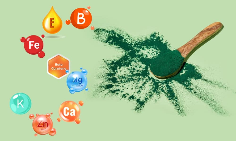 Kékzöld szuperélelmiszer a tányérodra: Így használd a spirulina algát
