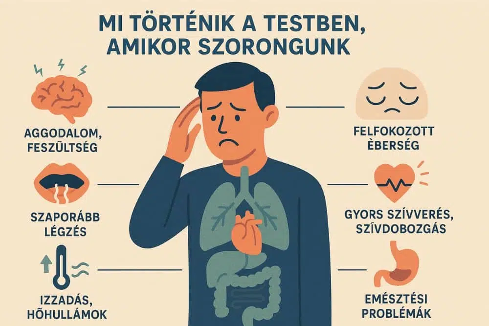 Mi történi a testben, amikor szorongunk? Ezért kell tenni a szorongás ellen! Mi történi a testben, amikor szorongunk? Ezért kell tenni a szorongás ellen!