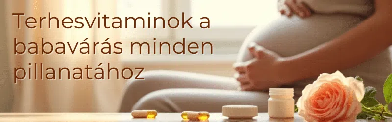 Termékenység fokozása terhesvitaminokkal! A tervezés időszakában is szedhető természetes hatóanyagok itt! Termékenység fokozása terhesvitaminokkal! A tervezés időszakában is szedhető természetes hatóanyagok itt!