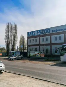 Üzlet