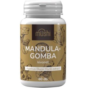 Mushi Mandula gomba kivonat kapszula - 60db