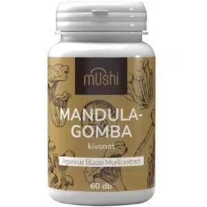 Mushi Mandula gomba kivonat kapszula - 60db