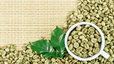 Zöld kávé hatása: klorogénsav, koffein és a tények