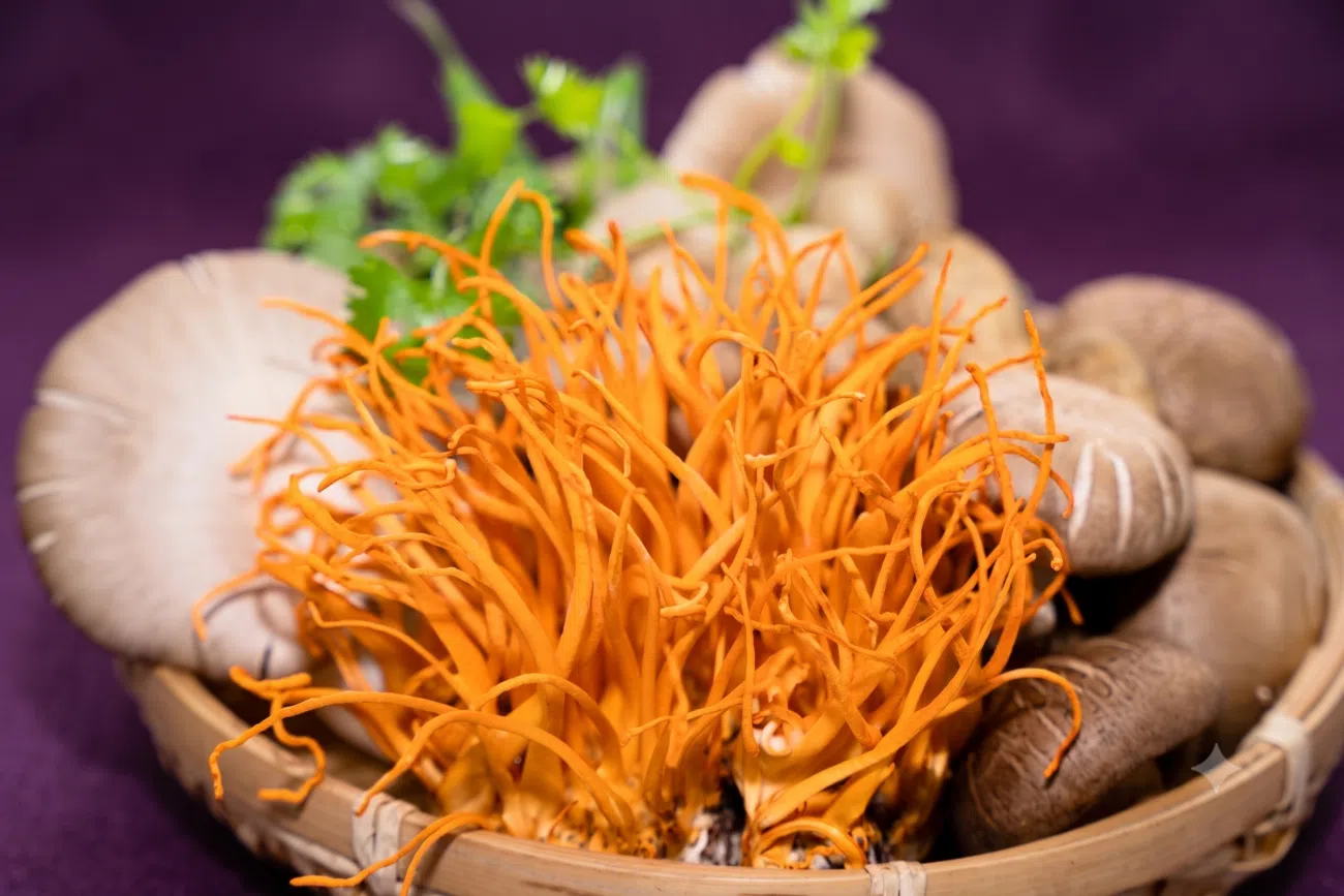 Cordyceps mellékhatásai – 10 dolog, amit tudnod kell