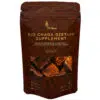 Prana Bio Chaga por - 60g